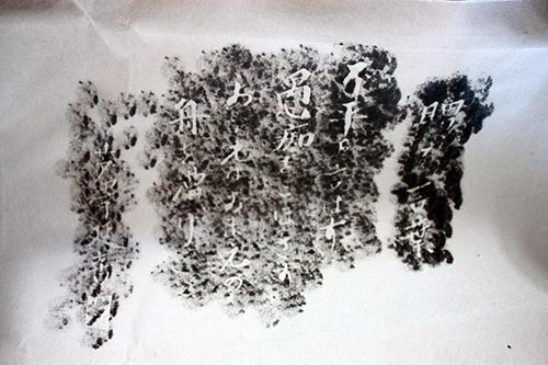 f:id:Naturalhistory:20160504164751j:image f:id:Naturalhistory:20160504164751j:image