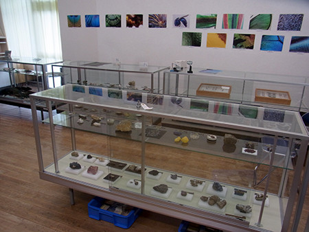 f:id:Naturalhistory:20160714130419j:image