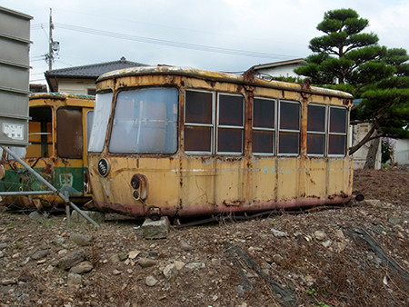 f:id:Naturalhistory:20160911115201j:image f:id:Naturalhistory:20160911115201j:image