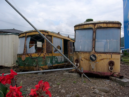 f:id:Naturalhistory:20160911115221j:image f:id:Naturalhistory:20160911115221j:image