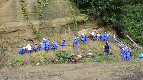 f:id:Naturalhistory:20160929131526j:image f:id:Naturalhistory:20160929131526j:image