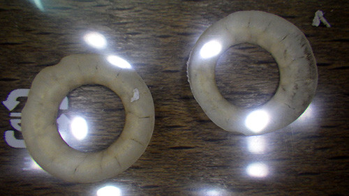 f:id:Naturalhistory:20160929165319j:image f:id:Naturalhistory:20160929165319j:image