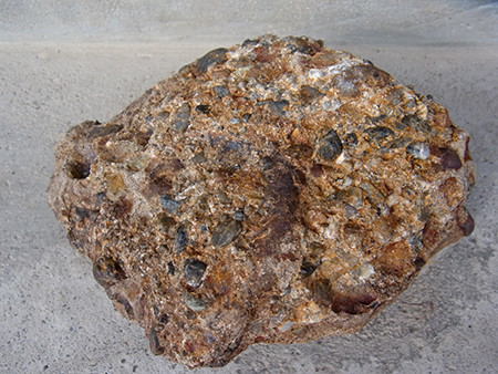 f:id:Naturalhistory:20161115104716j:image