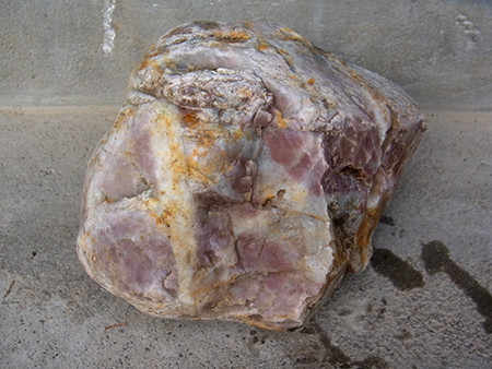 f:id:Naturalhistory:20161115104753j:image