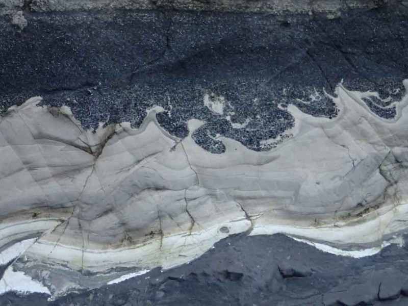 f:id:Naturalhistory:20161129171338j:image:w420 f:id:Naturalhistory:20161129171338j:image:w420