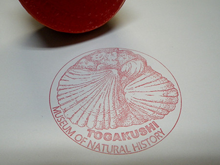 f:id:Naturalhistory:20170106170810j:image