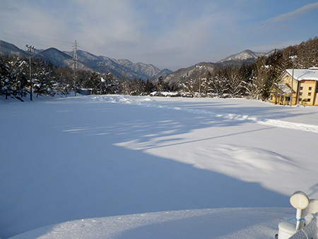 f:id:Naturalhistory:20170120082702j:image