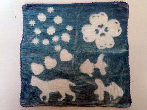 f:id:Naturalhistory:20170319115952j:image