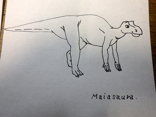 f:id:Naturalhistory:20170506213146j:image