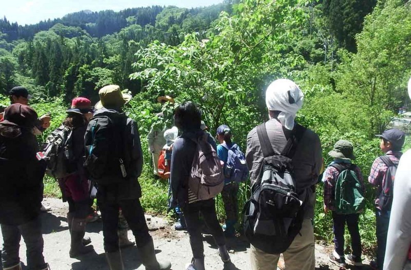 f:id:Naturalhistory:20170611174331j:image:w480 f:id:Naturalhistory:20170611174331j:image:w480