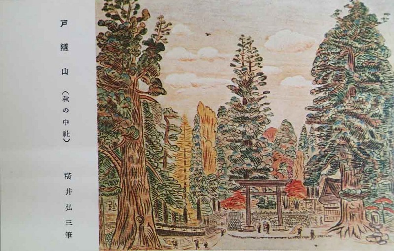 f:id:Naturalhistory:20170811161156j:image:w600 f:id:Naturalhistory:20170811161156j:image:w600