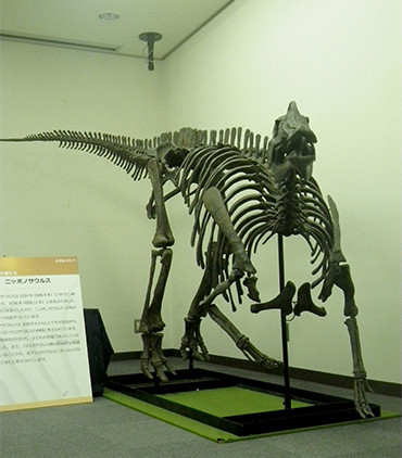 f:id:Naturalhistory:20170822110436j:image f:id:Naturalhistory:20170822110436j:image
