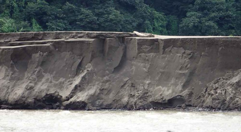 f:id:Naturalhistory:20170823173328j:image:w640 f:id:Naturalhistory:20170823173328j:image:w640