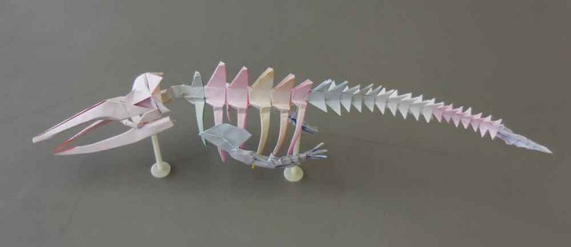 f:id:Naturalhistory:20170905164114j:image:w640