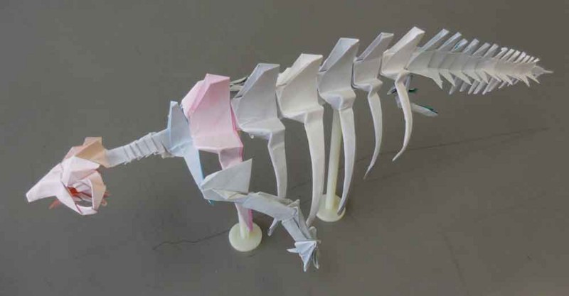 f:id:Naturalhistory:20170905164117j:image:w640