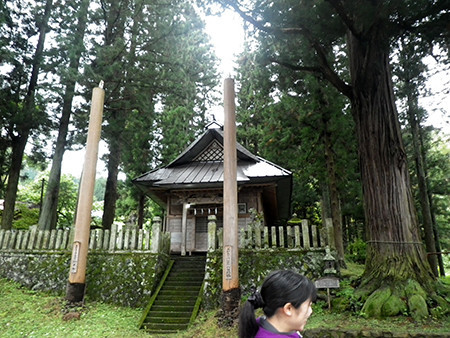f:id:Naturalhistory:20171021104804j:image