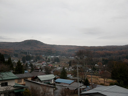 f:id:Naturalhistory:20171114154843j:image