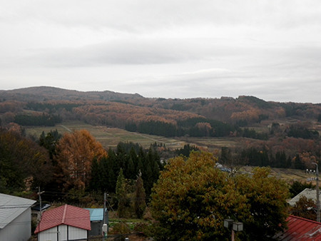 f:id:Naturalhistory:20171114154848j:image