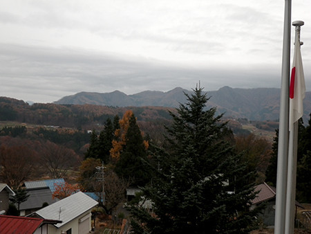 f:id:Naturalhistory:20171114154856j:image