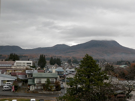 f:id:Naturalhistory:20171114154908j:image