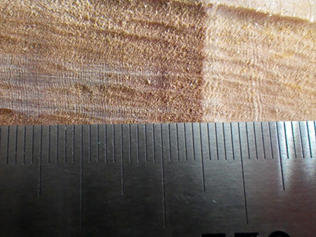 f:id:Naturalhistory:20171201091431j:image f:id:Naturalhistory:20171201091431j:image