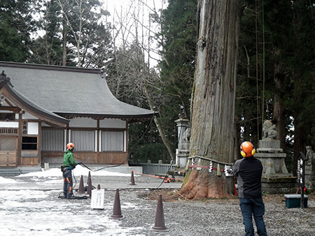 f:id:Naturalhistory:20171201140723j:image f:id:Naturalhistory:20171201140723j:image