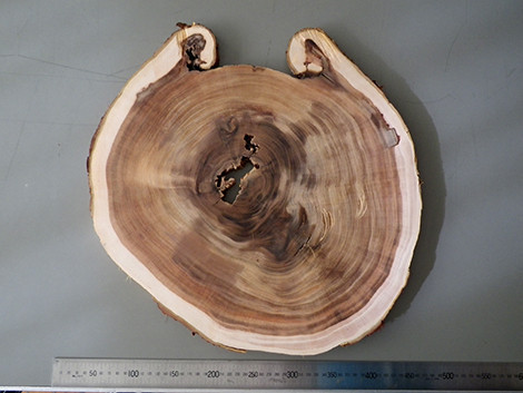 f:id:Naturalhistory:20171214093204j:image f:id:Naturalhistory:20171214093204j:image