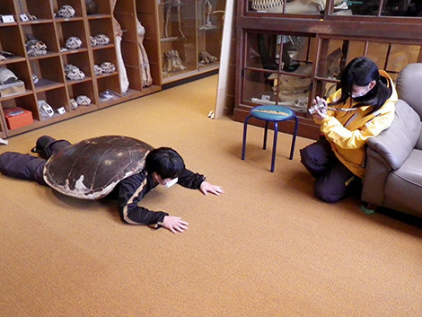 f:id:Naturalhistory:20180124102815j:image