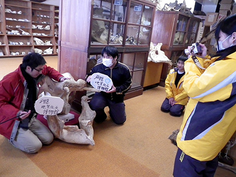 f:id:Naturalhistory:20180124103553j:image
