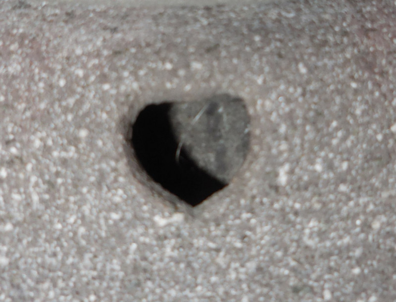 f:id:Naturalhistory:20180315103753j:image:w360