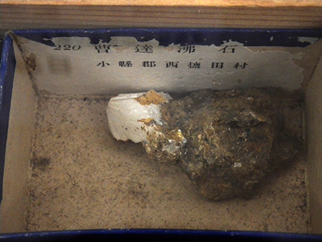 f:id:Naturalhistory:20180327162118j:image