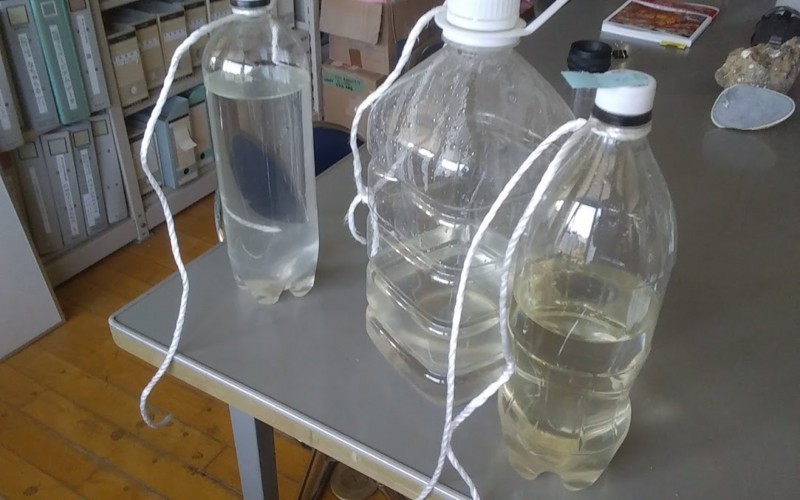 f:id:Naturalhistory:20180331160822j:image