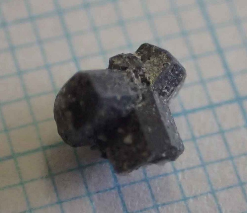 f:id:Naturalhistory:20180506161936j:image:w400