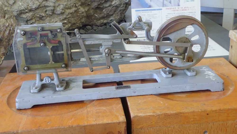 f:id:Naturalhistory:20180519171956j:image:w480