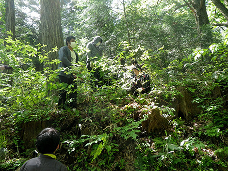 f:id:Naturalhistory:20180525134625j:image