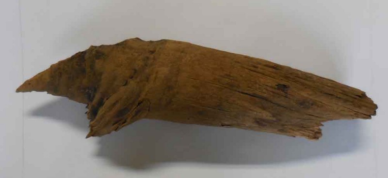 f:id:Naturalhistory:20180706170056j:image f:id:Naturalhistory:20180706170056j:image