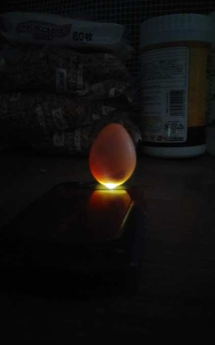 f:id:Naturalhistory:20180708170308j:image
