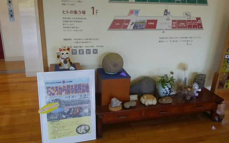 f:id:Naturalhistory:20180911165326j:image