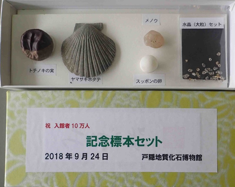 f:id:Naturalhistory:20180925132844j:image:w640