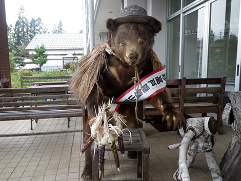 f:id:Naturalhistory:20181010153029j:image