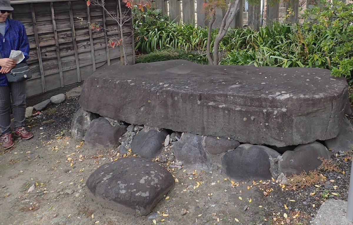 f:id:Naturalhistory:20181011104500j:plain
