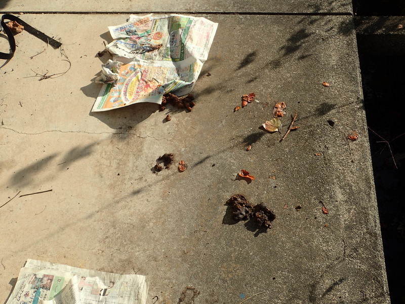 f:id:Naturalhistory:20181027090417j:image:w640 f:id:Naturalhistory:20181027090417j:image:w640