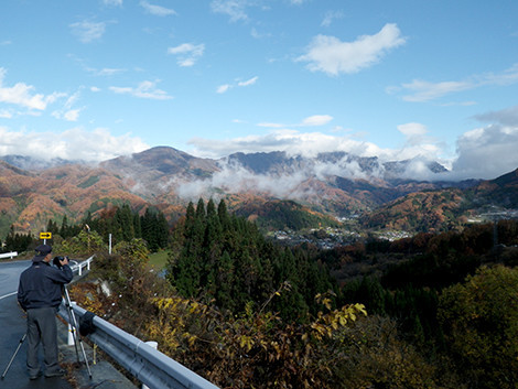 f:id:Naturalhistory:20181110094405j:image f:id:Naturalhistory:20181110094405j:image