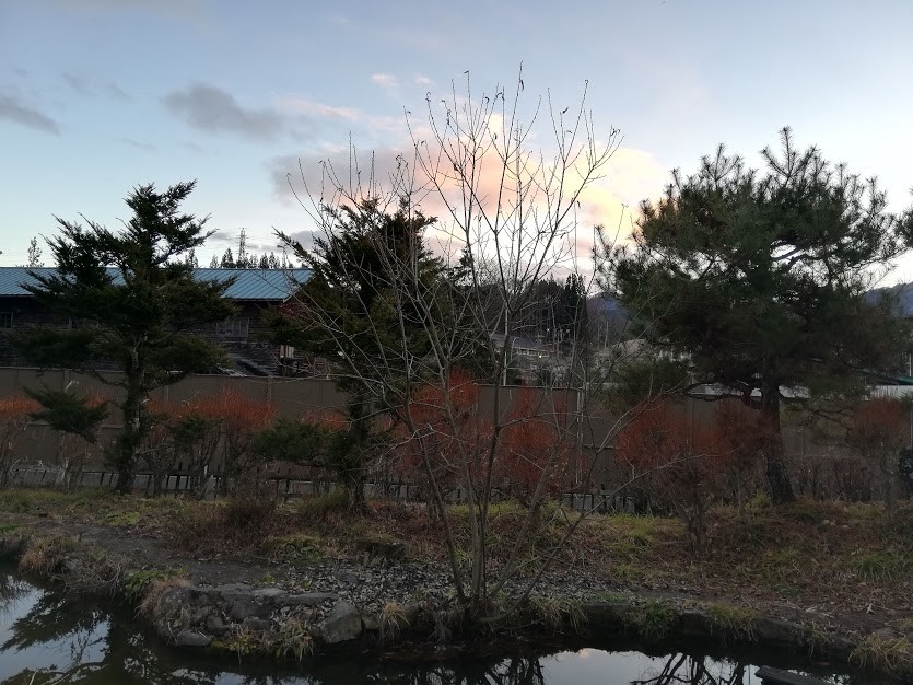 f:id:Naturalhistory:20181218162629j:plain