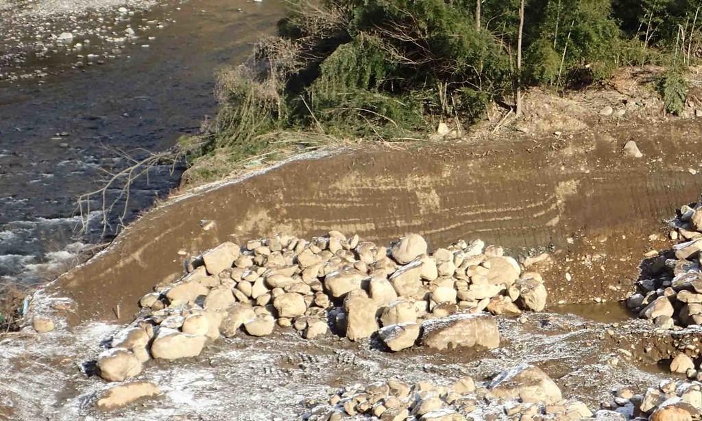 f:id:Naturalhistory:20181229100751j:plain f:id:Naturalhistory:20181229100751j:plain