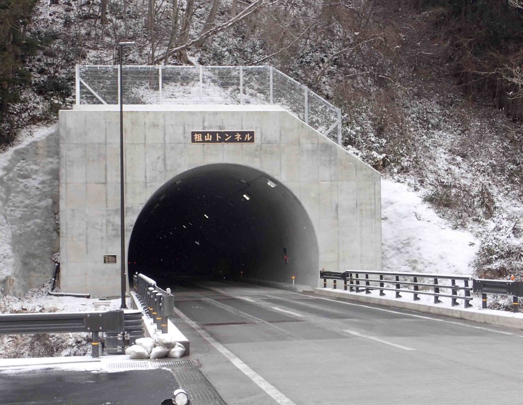 f:id:Naturalhistory:20181229101514j:plain f:id:Naturalhistory:20181229101514j:plain