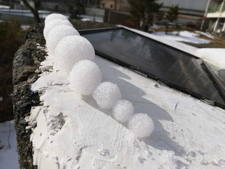 f:id:Naturalhistory:20190106162103j:plain