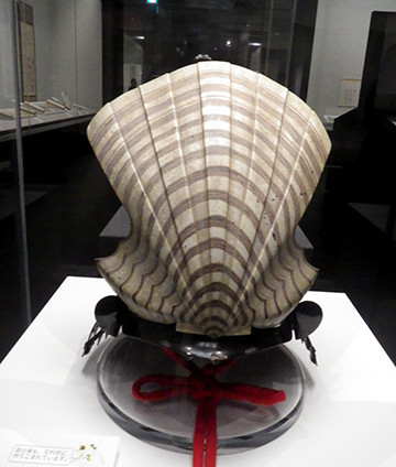 f:id:Naturalhistory:20190121165842j:plain f:id:Naturalhistory:20190121165842j:plain