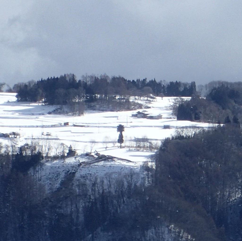 f:id:Naturalhistory:20190125105134j:plain