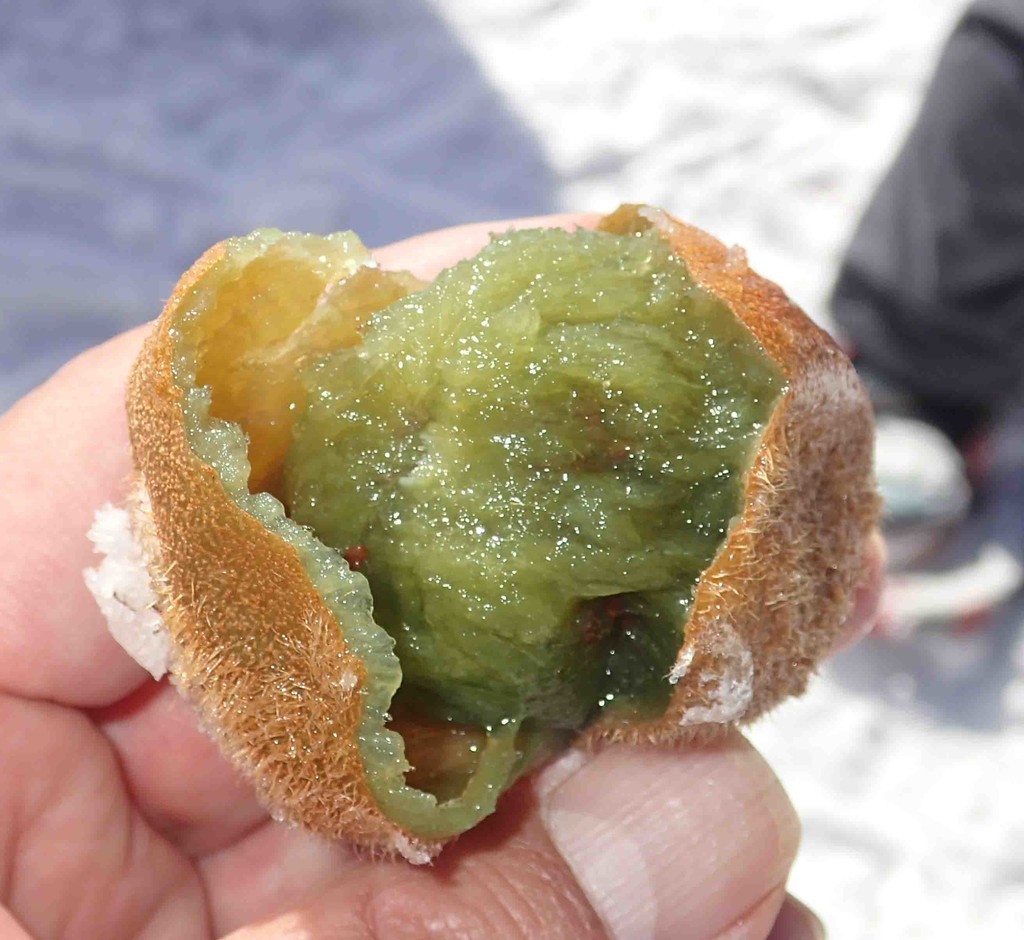 f:id:Naturalhistory:20190125110414j:plain